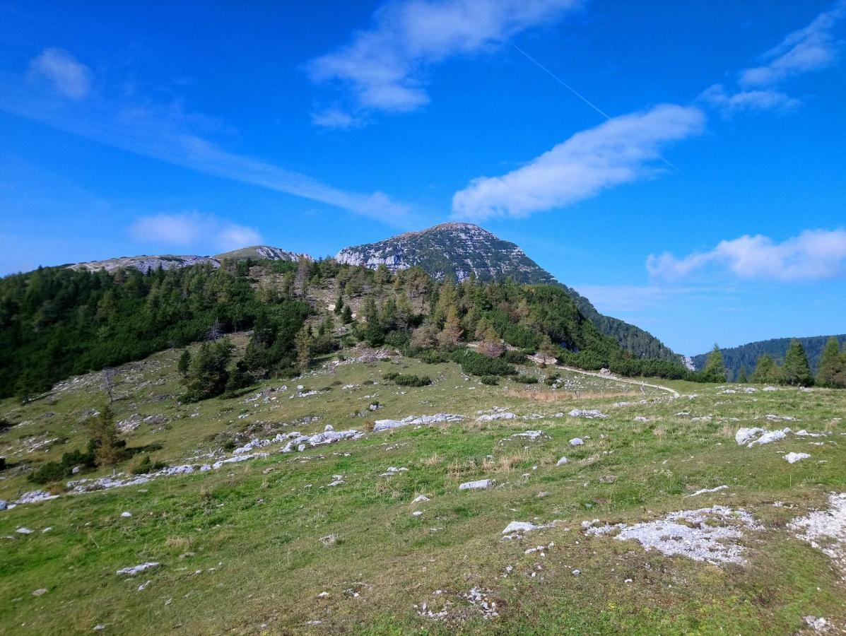 Ferienwohnungen Gerti Klopein am Klopeiner See Dış mekan fotoğraf